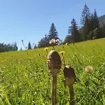 Dei Colori *