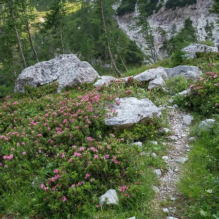 木屋 Dei Colori Camporosso (Tarvisio)