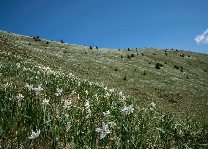 Dei Colori * Camporosso (Tarvisio)