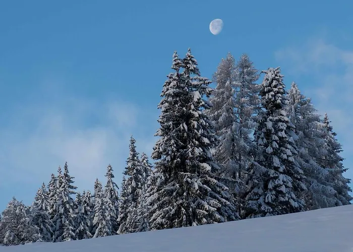 Dei Colori Camporosso (Tarvisio)