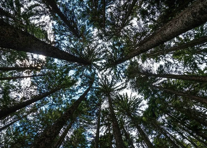 Dağ evi Dei Colori *