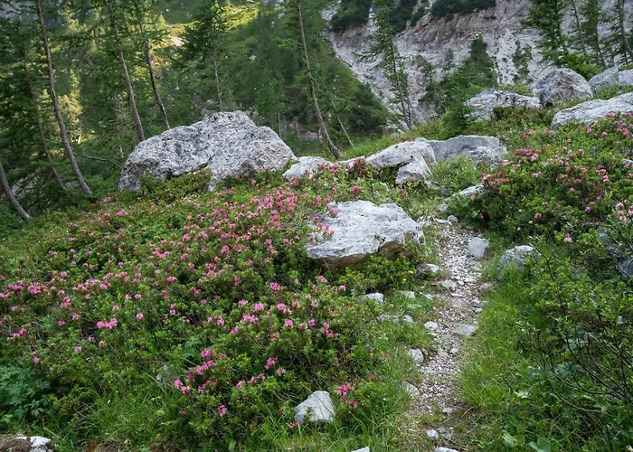 Dağ evi Dei Colori Camporosso (Tarvisio)